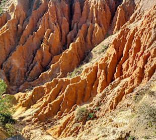 Seven Hanging Valleys Trail 