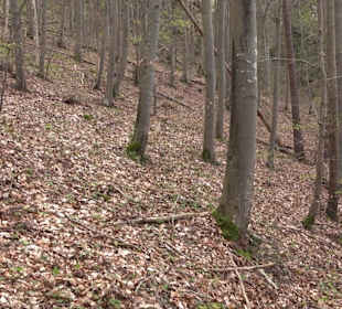 Wanderung rund um das Rusenschloss Gerhausen