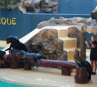 Loro Parque 