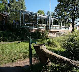 Fensterfront vom Grillrestaurant Kneshecke