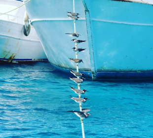 Zeit für eine Pause