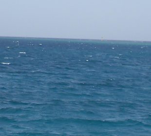 Ausschau nach Delfinen