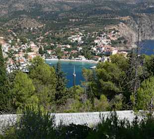 Assos