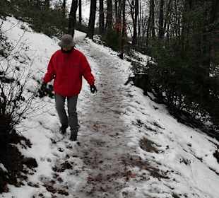 Tal des Bornheimer Bachs