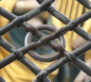 Der echte drehbare )Eisen-)Ring am Schönen Brunnen