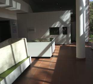 Rheinisches Landesmuseum