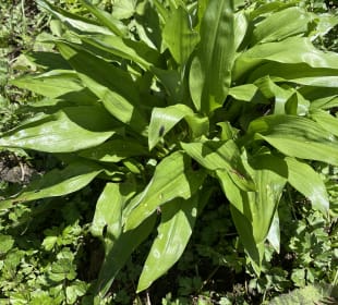 Radfahren Oberstdorf