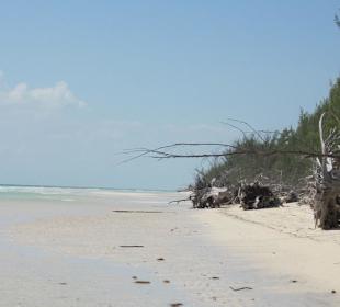 Gold Rock Beach (Gold Coast)