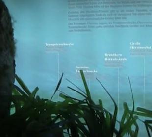 Naturhistorisches Museum