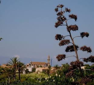 Blick nach Ses Salines
