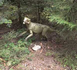 Dinosaurier Museum Altmühltal