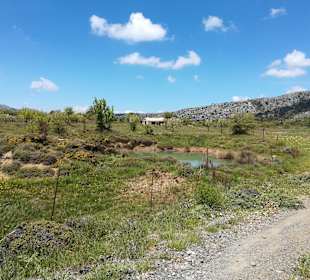 Insel Spinalonga / Kalidonia