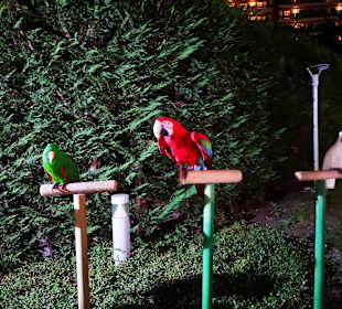 Stadtrundgang Albena