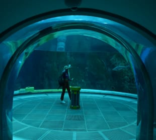 Aquarium mit Untersee-Station