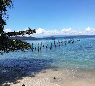 Cahuita Nationalpark