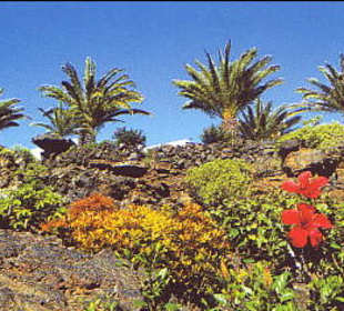 Höhlen und weiße Krebse