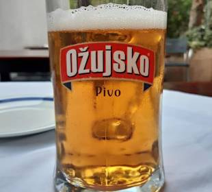 Pivo