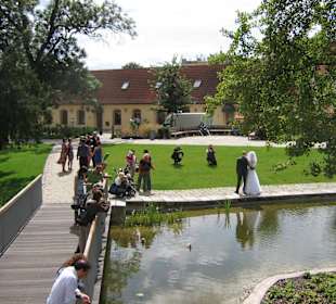 Hochzeitsfotos im Park