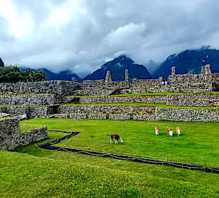 Machu Picchu
