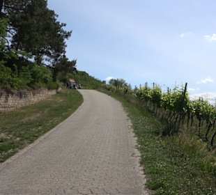 Früchtetrauf - Wurmlinger Kapellenwegle