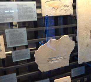 Jura-Museum