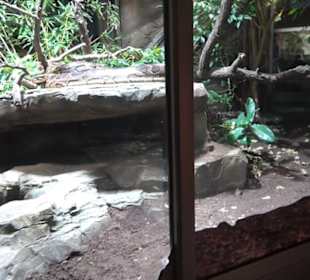 Aquarium