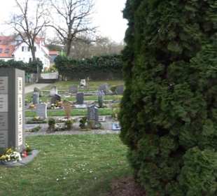 Friedhof 