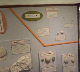 Naturhistorisches Museum