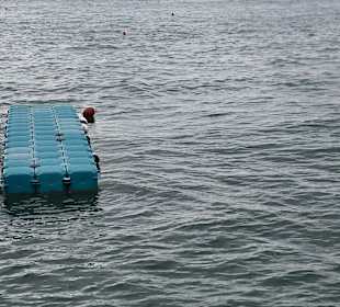 Schwimminseln