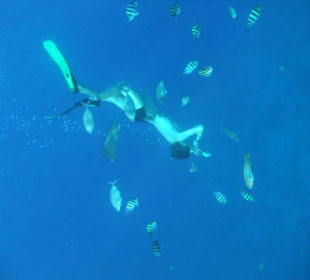 Schnorcheln ist toll!