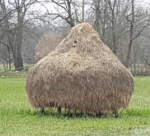 Wandern Burg (Spreewald)