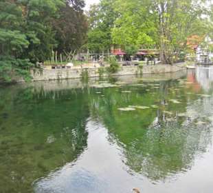 Weiter um den Teich herum