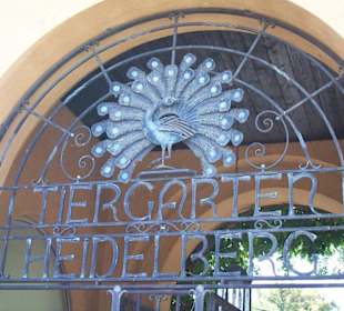 Zoo Heidelberg 1