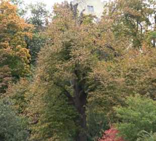 Meersburg Unterstadt