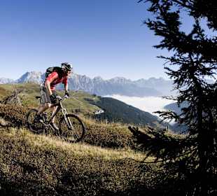 Direkt am Bikepark Leogang