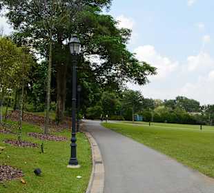 Botanischer Garten Singapur