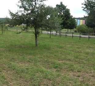 ALB-GOLD Naturgarten