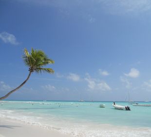Insel Saona