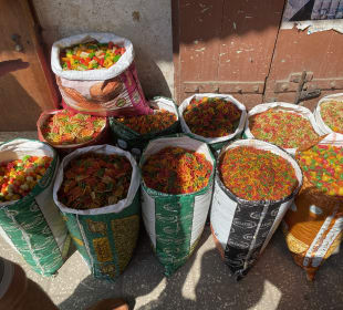 Dorfbesichtigung Pwani Mchangani