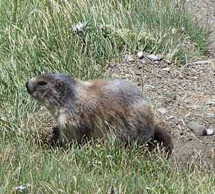Grossglockner Hochalpenstrasse