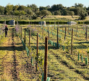 Wandern Evora