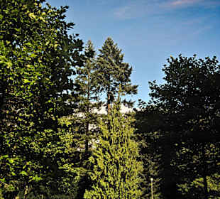 Кладбище Ольсдорф, Гамбург, 16 сентября 2013 года