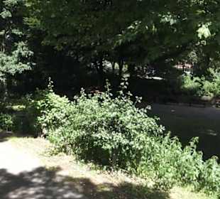 Alter Elbepark