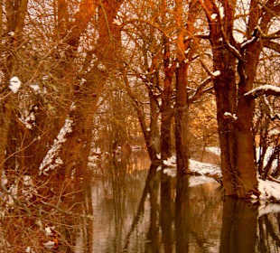 Abendsonne am Mühlbach