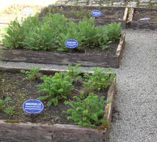 Kräutergarten Blaubeuren