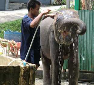 Liebevolle Körperpflege!