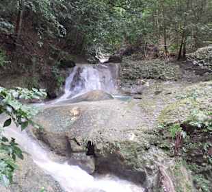 Dschungel - Trekking