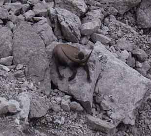 Mindelheimer Klettersteig