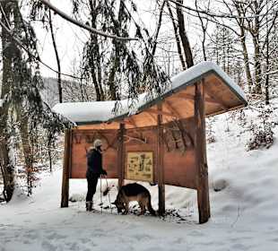 Wandern Lonau
