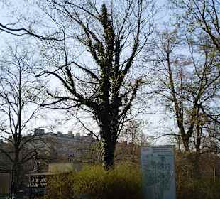 Łazienki Królewskie